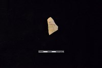 藏品(陶片)的圖片